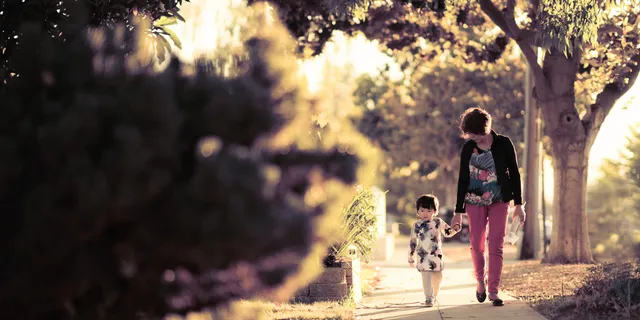 What Is Supplemental Health Insurance? A Guide to Filling the Gaps in Your Coverage